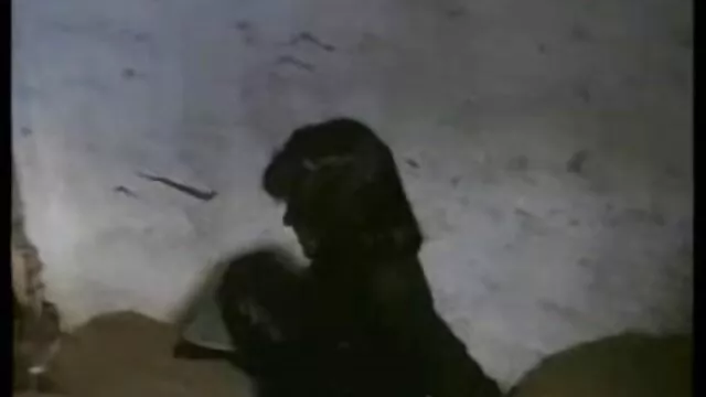 Porno không đăng ký  Anh chàng fries một wench với một hình xăm trên cô ấy tits trong cô ấy âm đạo và cums trong cô ấy miệng trong các lối vào phim sec oline