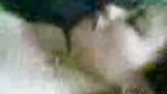 Porno không đăng ký  Gia đình khiêu dâm với một cô gái phim séc da đen trẻ