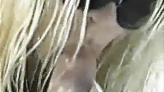 Porno không đăng ký  Nhanh chóng thức dậy và bắt phim séc h đầu quan hệ tình dục bằng miệng, kéo dương vật