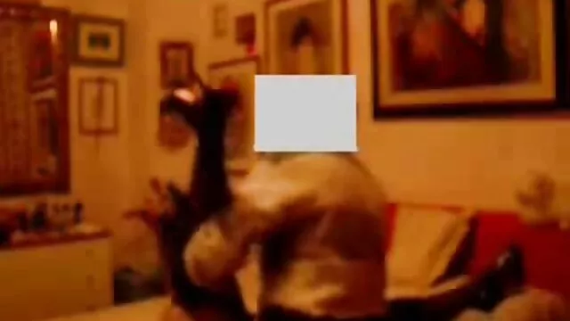 Porno không đăng ký  Hai đối tác chèn dicks vào âm hộ và đít phim séc mới của một con điếm với mái tóc ngắn, ôm cô ấy trong vòng tay của họ