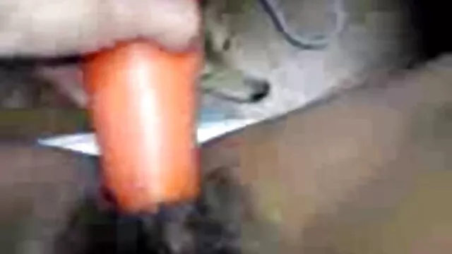 Porno không đăng ký  Những con chó xem phim séc miễn phí cái của chiến dịch tặng đòn cho vũ nữ thoát y trong quán bar